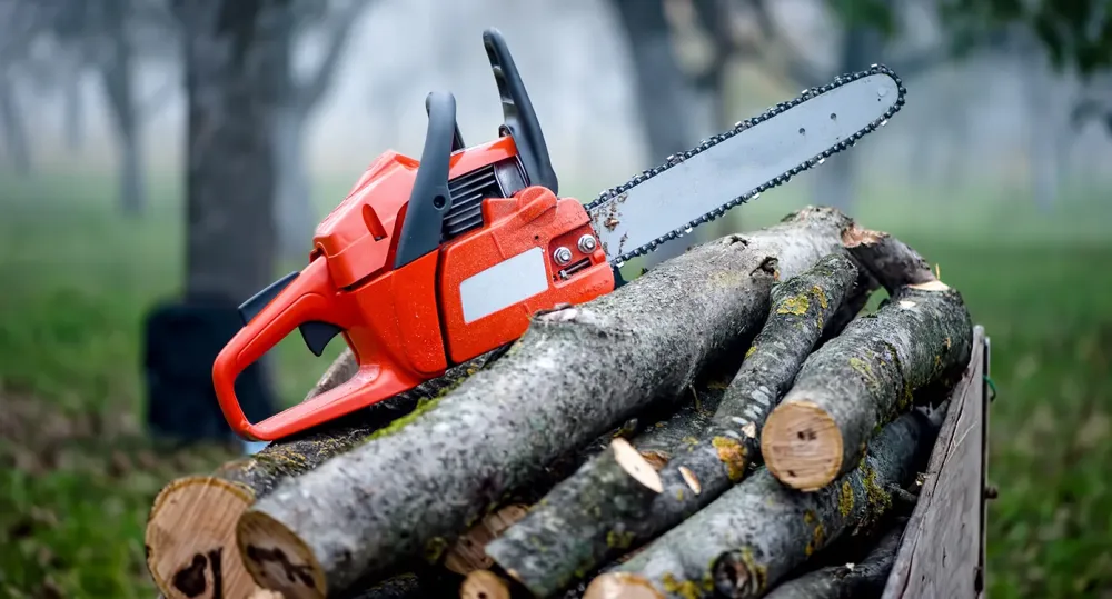 Destruction de souche à Aouste-sur-Sye