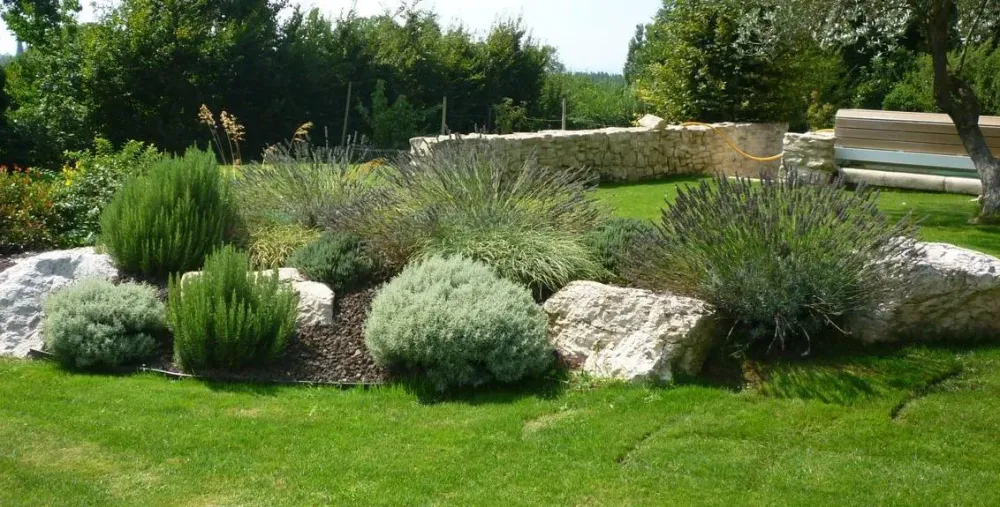 mcm-paysagiste Jardinier paysagiste (2)