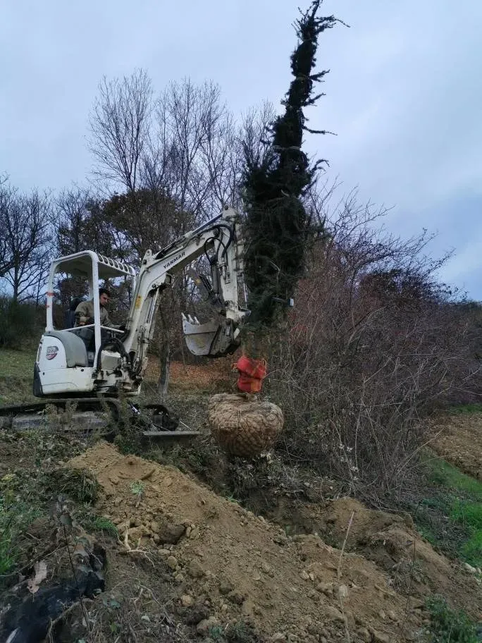 mcm-paysagiste Récupérateur d'eawebp