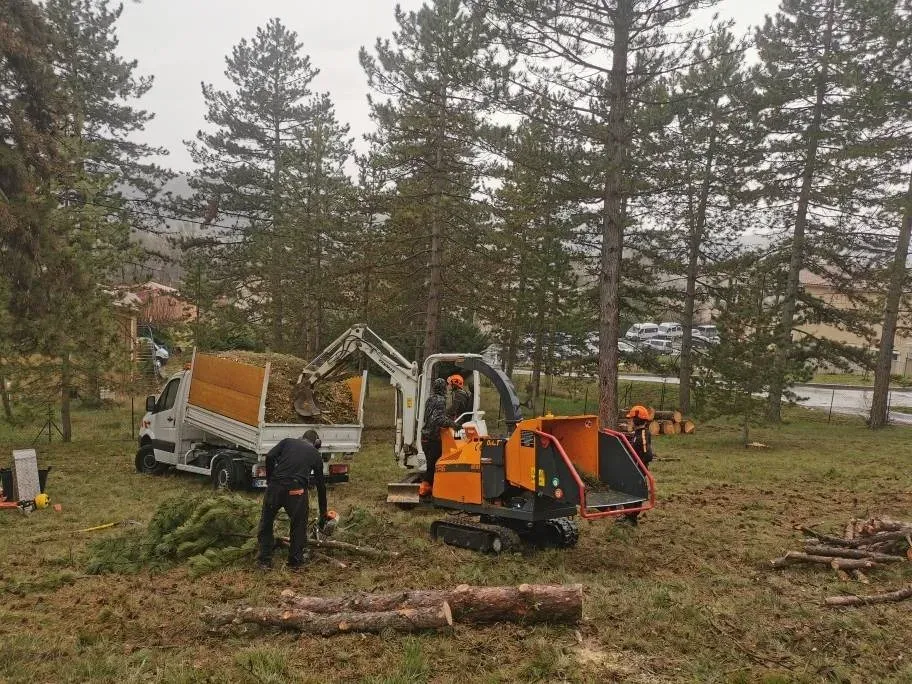 mcm-paysagiste Élagage & Abattage (3)webp