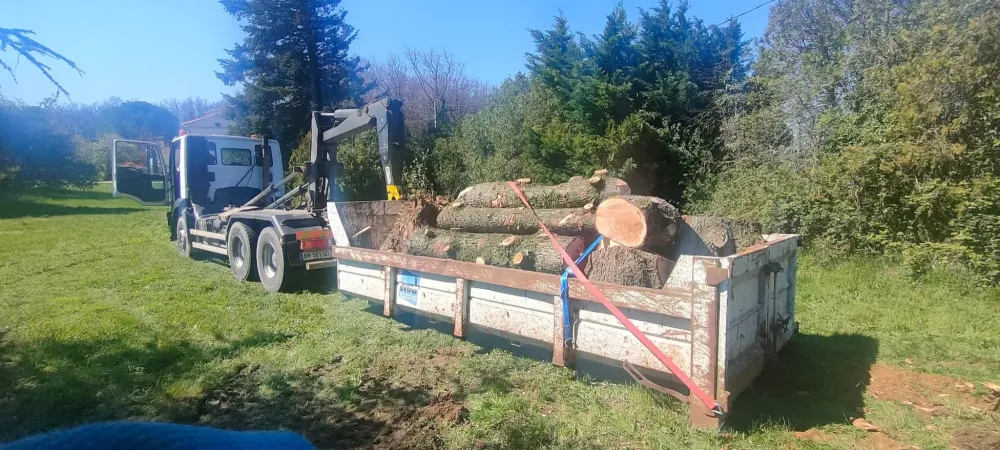 Abattage élagage 2webp