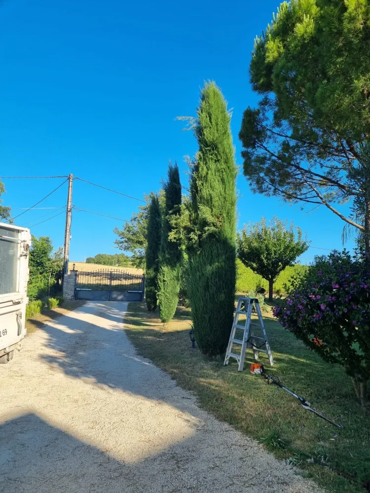 Entretien de jardin avant-aprèswebp