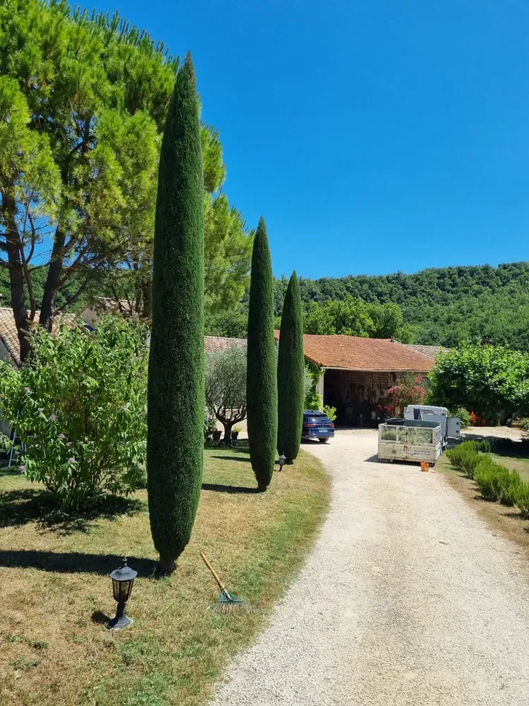 Entretien de jardin avant-après 2webp
