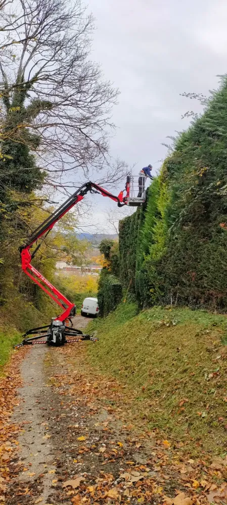 Entretien de jardin 4